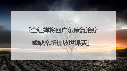 全红婵将回广东康复治疗 或缺席新加坡世锦赛