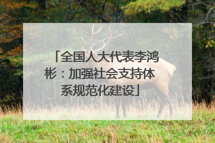 全国人大代表李鸿彬：加强社会支持体系规范化建设