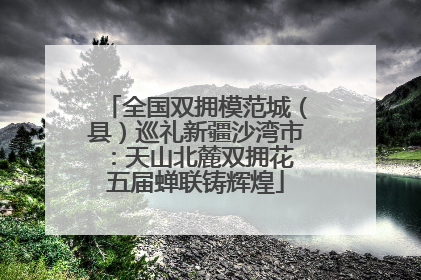 全国双拥模范城（县）巡礼新疆沙湾市：天山北麓双拥花 五届蝉联铸辉煌