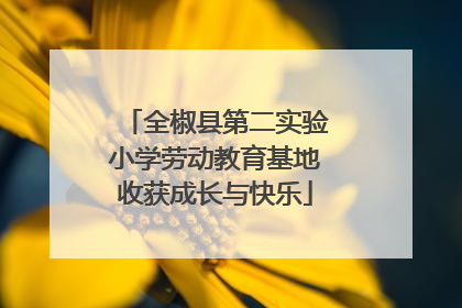 全椒县第二实验小学劳动教育基地收获成长与快乐