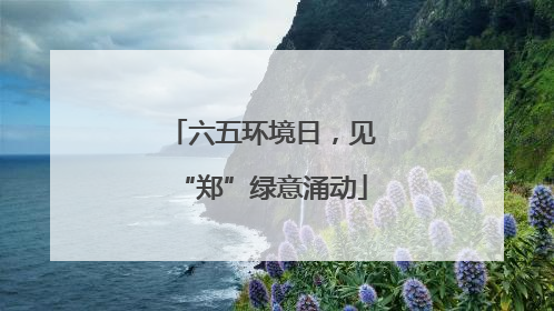 六五环境日，见“郑”绿意涌动
