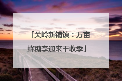 关岭新铺镇：万亩蜂糖李迎来丰收季