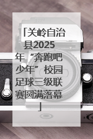 关岭自治县2025年“奔跑吧少年”校园足球三级联赛圆满落幕