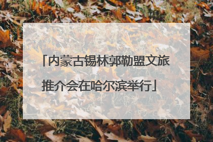 内蒙古锡林郭勒盟文旅推介会在哈尔滨举行