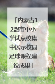 内蒙古12盟市中小学试点校集中展示校园足球课程建设成果
