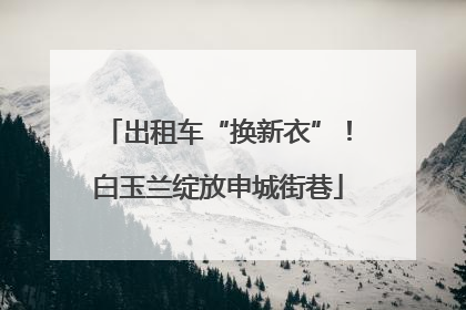 出租车“换新衣”！白玉兰绽放申城街巷
