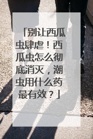 别让西瓜虫肆虐！西瓜虫怎么彻底消灭，潮虫用什么药最有效？