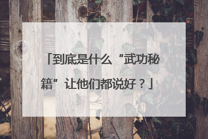 到底是什么“武功秘籍”让他们都说好？