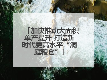 加快推动大面积单产提升 打造新时代更高水平“洞庭粮仓”
