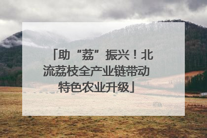 助“荔”振兴！北流荔枝全产业链带动特色农业升级
