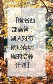 匿名西部高管：湖人对布朗尼有明确的培养计划