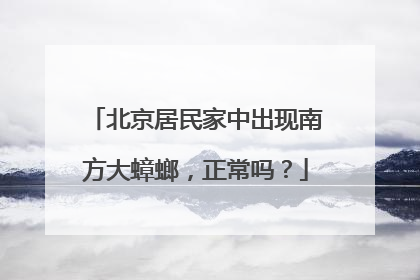 北京居民家中出现南方大蟑螂，正常吗？