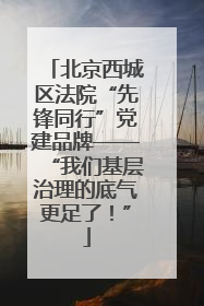 北京西城区法院“先锋同行”党建品牌——“我们基层治理的底气更足了！”