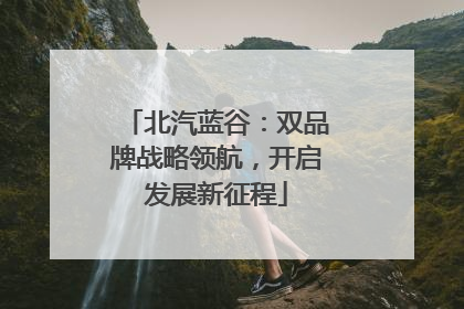 北汽蓝谷：双品牌战略领航，开启发展新征程