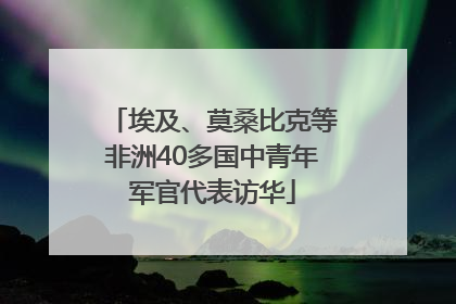 埃及、莫桑比克等非洲40多国中青年军官代表访华