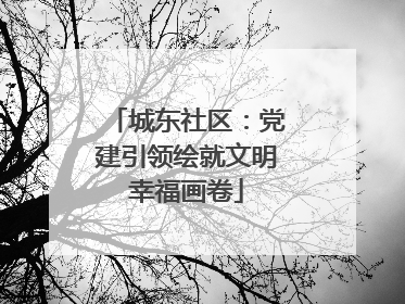 城东社区：党建引领绘就文明幸福画卷