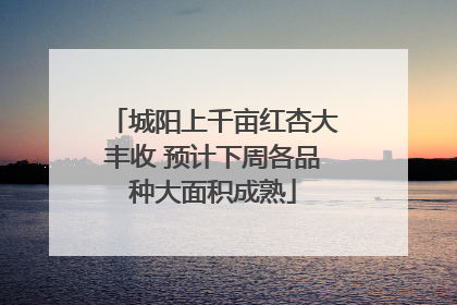 城阳上千亩红杏大丰收 预计下周各品种大面积成熟
