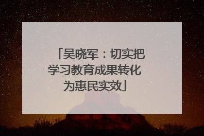 吴晓军：切实把学习教育成果转化为惠民实效