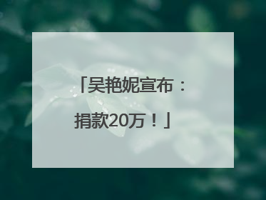 吴艳妮宣布：捐款20万！