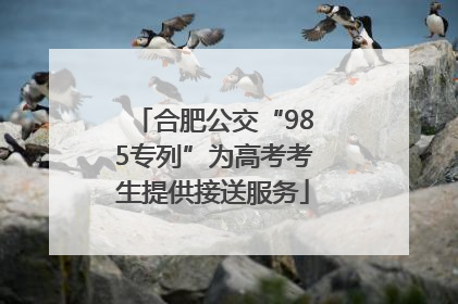 合肥公交“985专列”为高考考生提供接送服务