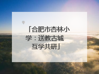 合肥市杏林小学：送教古城 互学共研