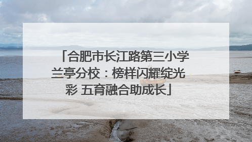 合肥市长江路第三小学兰亭分校：榜样闪耀绽光彩 五育融合助成长