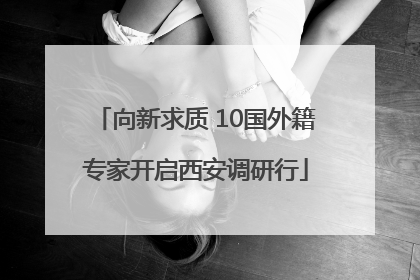 向新求质 10国外籍专家开启西安调研行