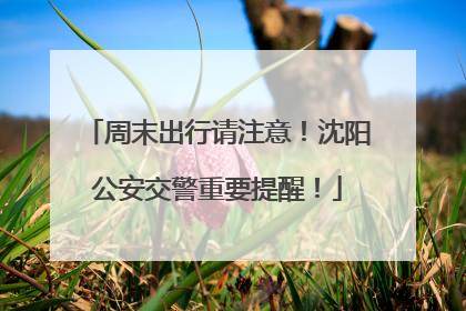 周末出行请注意！沈阳公安交警重要提醒！