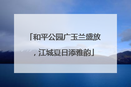 和平公园广玉兰盛放，江城夏日添雅韵