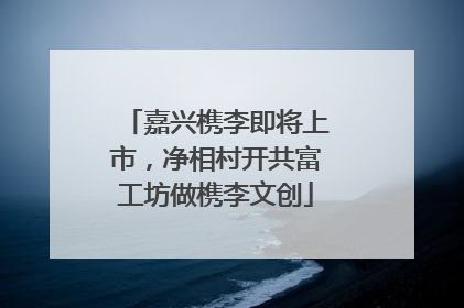 嘉兴槜李即将上市，净相村开共富工坊做槜李文创