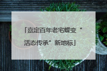 嘉定百年老宅蝶变“活态传承”新地标