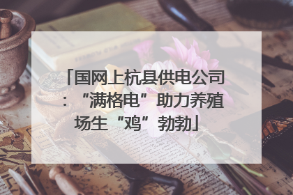 国网上杭县供电公司：“满格电”助力养殖场生“鸡”勃勃