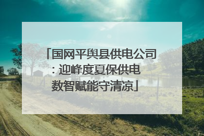 国网平舆县供电公司：迎峰度夏保供电  数智赋能守清凉