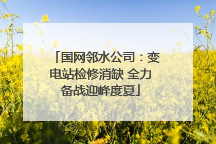 国网邻水公司：变电站检修消缺 全力备战迎峰度夏