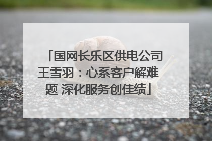 国网长乐区供电公司王雪羽：心系客户解难题 深化服务创佳绩