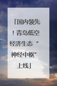 国内领先！青岛低空经济生态“神经中枢”上线