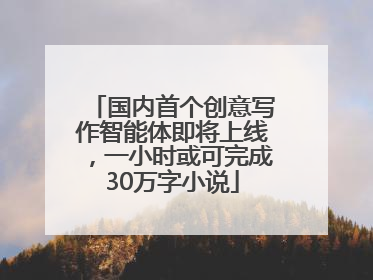 国内首个创意写作智能体即将上线，一小时或可完成30万字小说