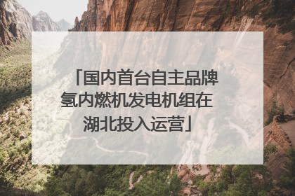 国内首台自主品牌氢内燃机发电机组在湖北投入运营
