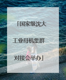 国家级沈大工业母机集群对接会举办