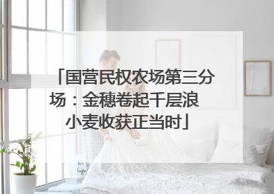 国营民权农场第三分场：金穗卷起千层浪 小麦收获正当时