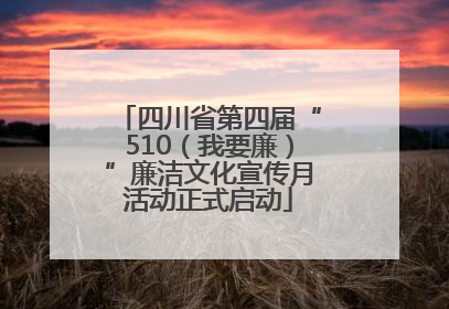 四川省第四届“510（我要廉）”廉洁文化宣传月活动正式启动