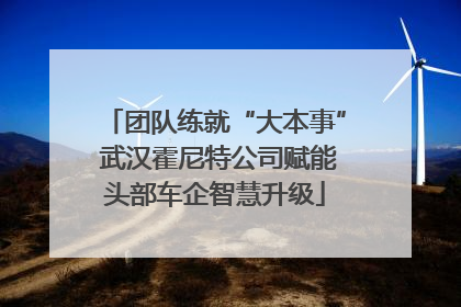 团队练就“大本事” 武汉霍尼特公司赋能头部车企智慧升级