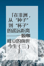 在非洲，从“种子”到“杯子”的遥远距离——一颗咖啡豆的前世今生（三）