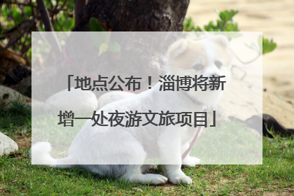 地点公布！淄博将新增一处夜游文旅项目