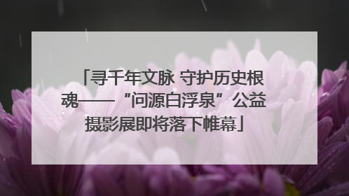 寻千年文脉 守护历史根魂——“问源白浮泉”公益摄影展即将落下帷幕