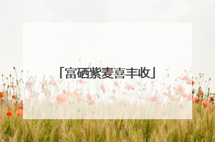 富硒紫麦喜丰收