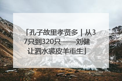 孔子故里孝贤多｜从37只到320只——刘健让泗水裘皮羊重生