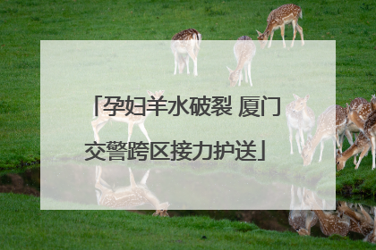 孕妇羊水破裂 厦门交警跨区接力护送