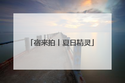 宿来拍丨夏日精灵