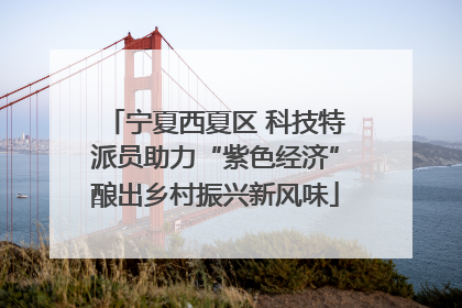 宁夏西夏区 科技特派员助力“紫色经济”酿出乡村振兴新风味